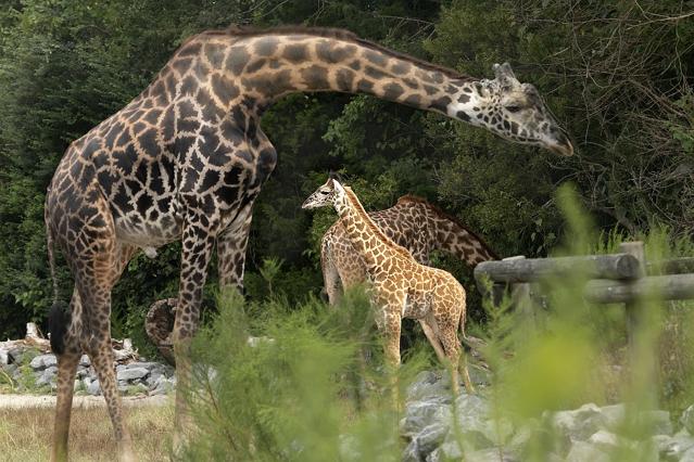 Virginia Zoological Park